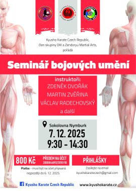 Seminar_dvorak_122025